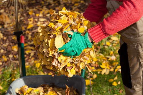 Rubbish collection pricing explained with transparent rates